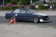 SL SW 2011 Lems_1.jpg